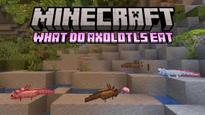 What Do Axolotls Eat in Minecraft