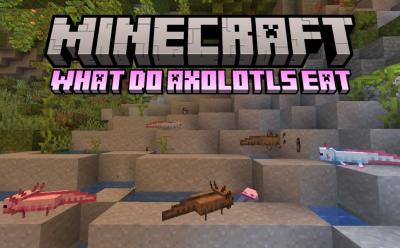 What Do Axolotls Eat in Minecraft