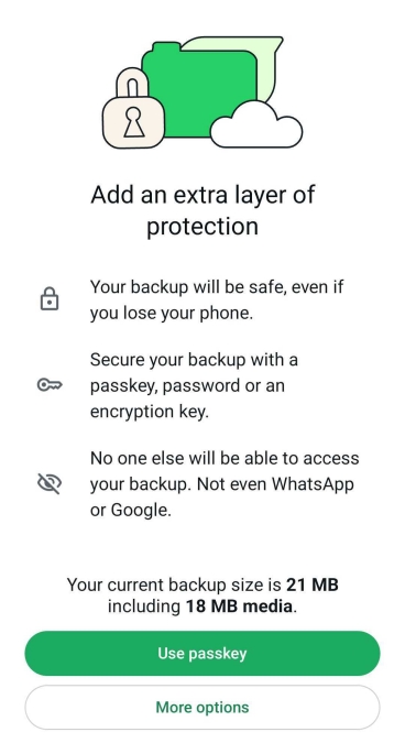 WhatsApp Passkey Option for Encrypted Chat Backups Info Page