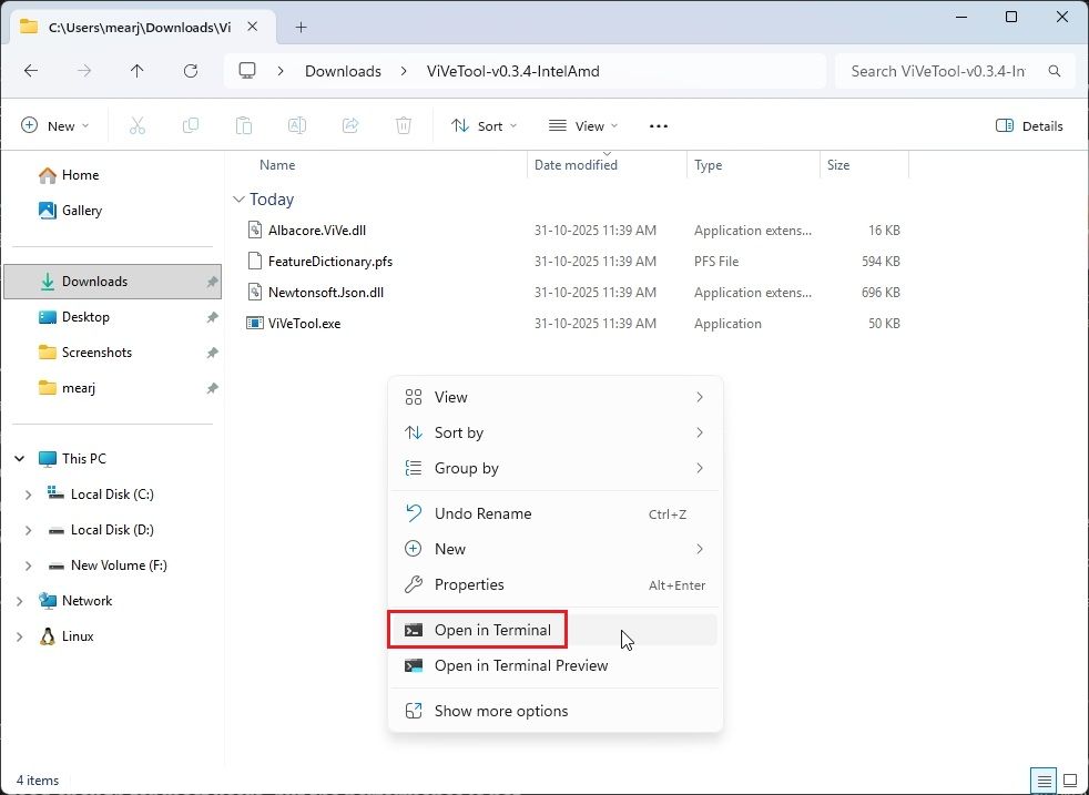 open windows terminal in a folder