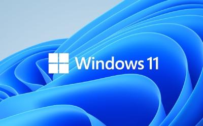 windows 11 logo
