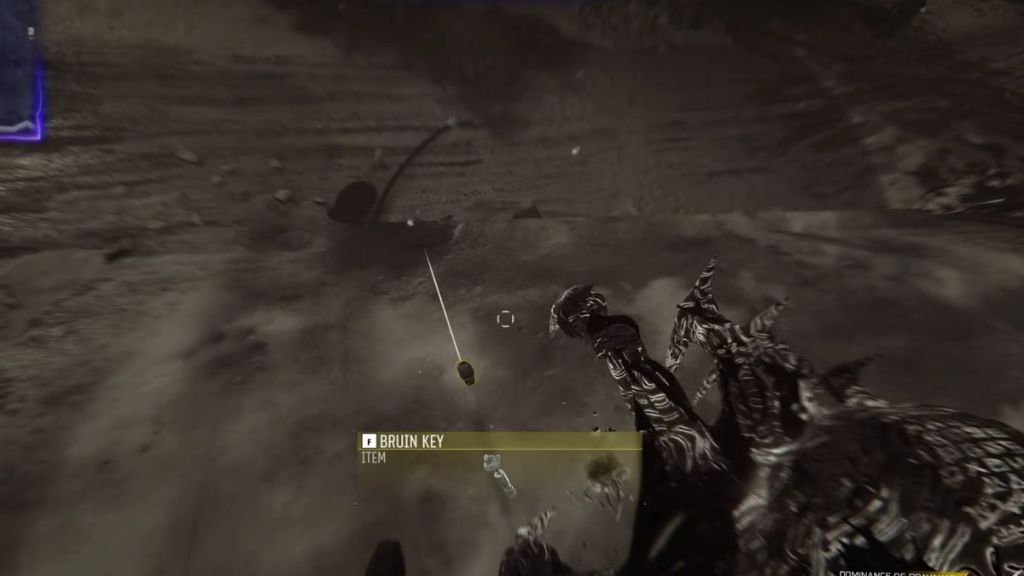 Black Ops 7 Ashes of the Damned Bruin Key