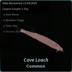 Cave Loach