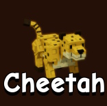 Cheetah