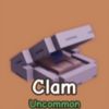 Clam