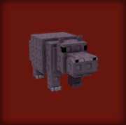 Hippo