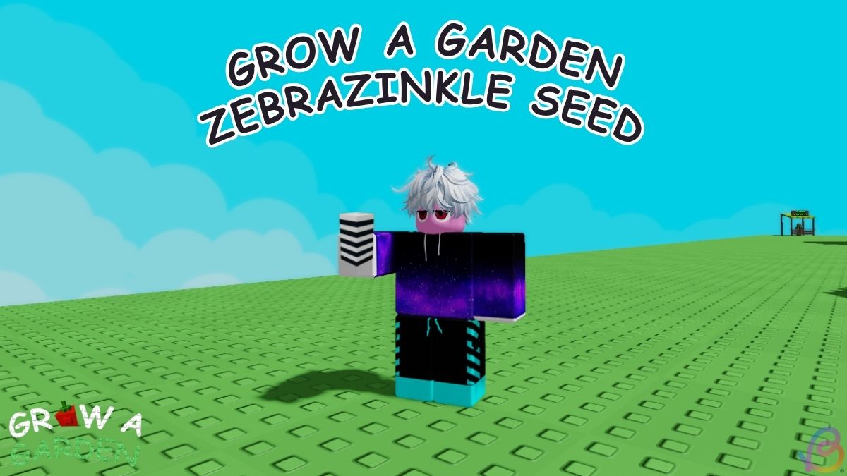 How to Get Zebrazinkle Seed in Grow a Garden
