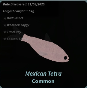 Mexican Tetra