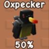 Oxpecker