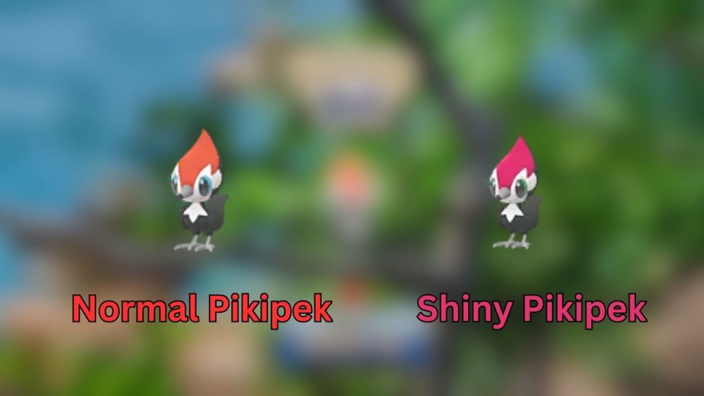 Pikipek