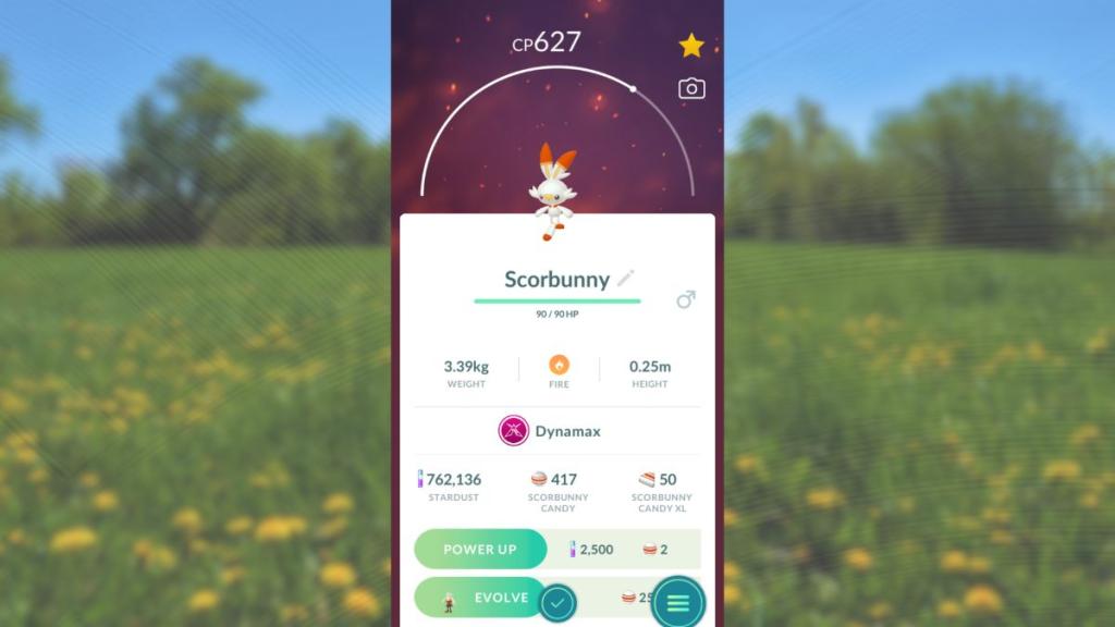 Pokemon GO Scorbunny