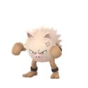 Pokemon GO Raid Boss Schedule (May 2026) – Shadow, Mega, and More