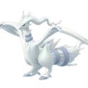 Reshiram