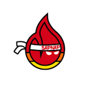 Sapnap 
