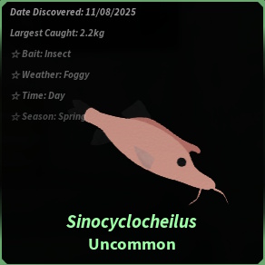Sinocyclocheilus