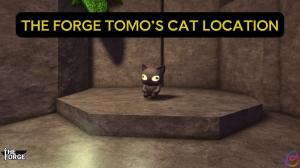Where to Find Tomo's Cat in The Forge