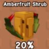amberfruit shrub