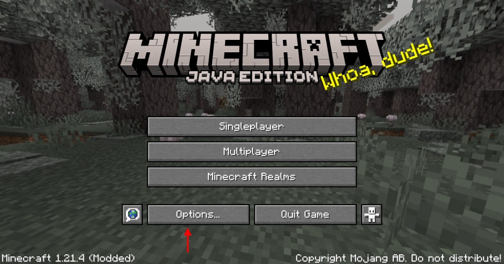 options tab in minecraft