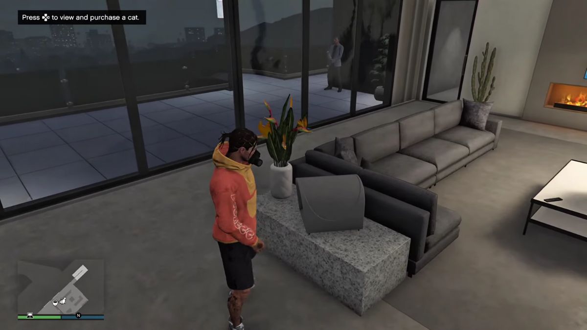 How To Get Pets In GTA Online Mansions Update All Pets Prices And GTA Online Catbed