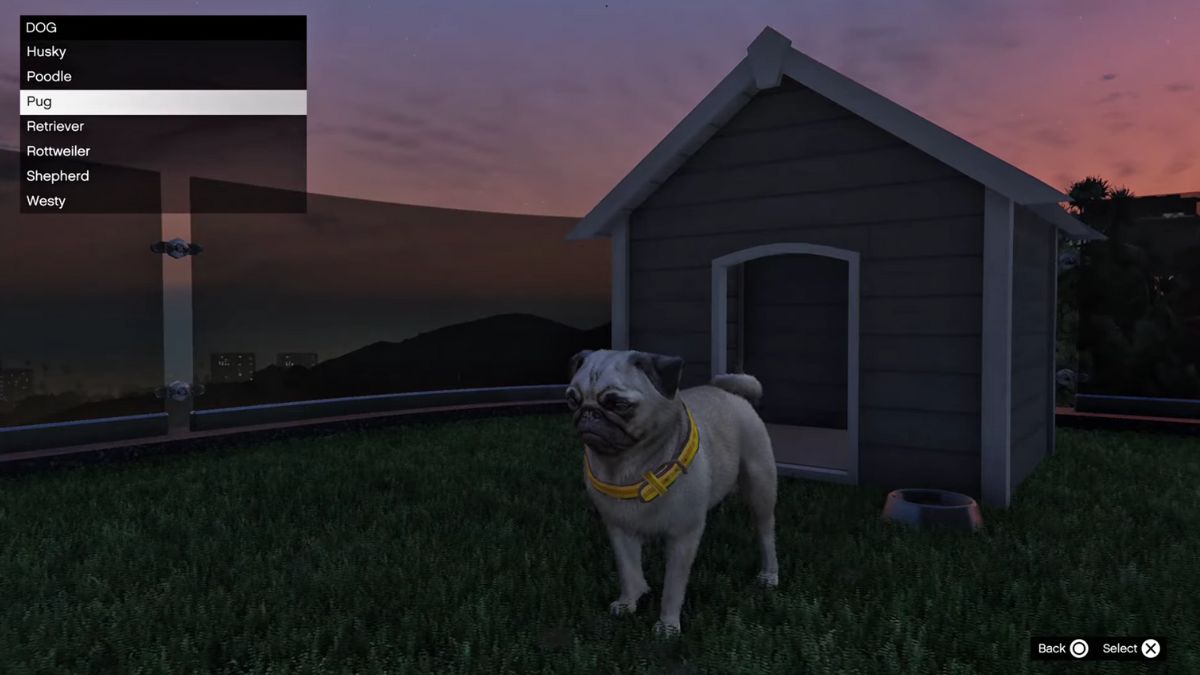 How To Get Pets In GTA Online Mansions Update All Pets Prices And GTA Online Dog Breeds 