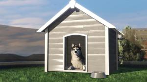 How to Get Pets in GTA Online Mansions Update: All Pets, Prices, and More