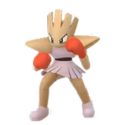 Hitmonchan