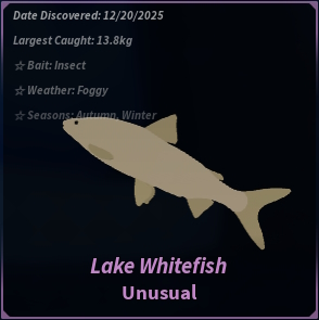 Lake Whitefish