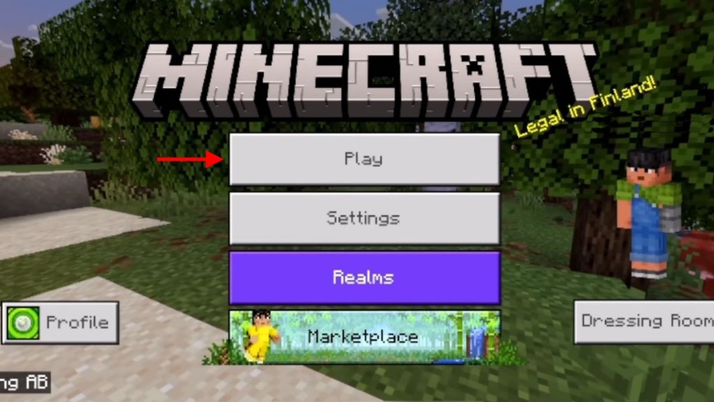 Minecraft Pocket Edition Play