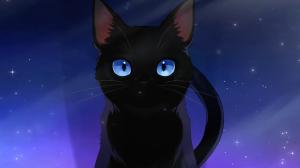 Honkai Star Rail Terminus: Everything You Need to Know