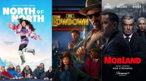 10 Best Underrated TV Shows of 2025