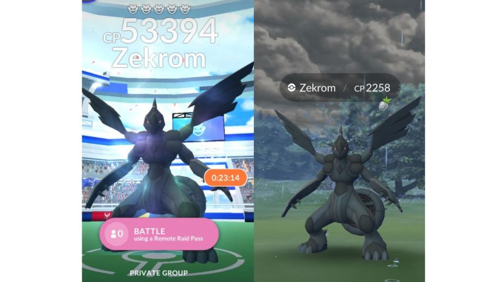 Zekrom Raids