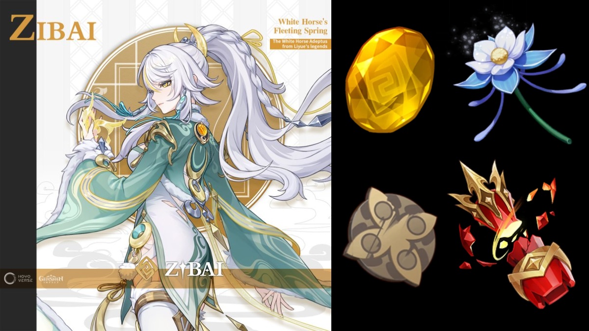 Zibai Materials Genshin Impact