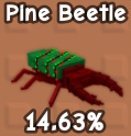 pine beetle mythical