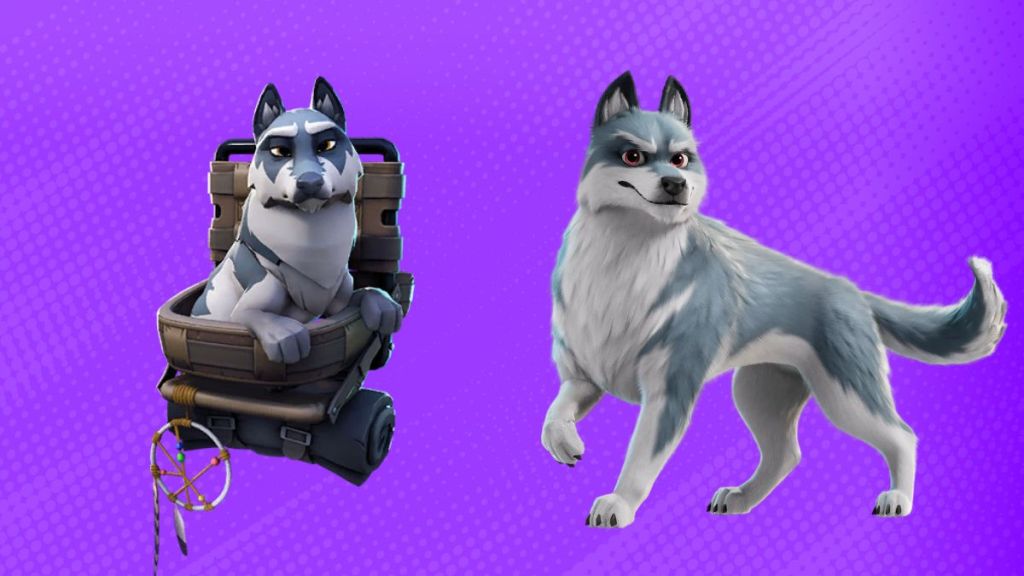 Fortnite Remus Sidekick and Back Bling