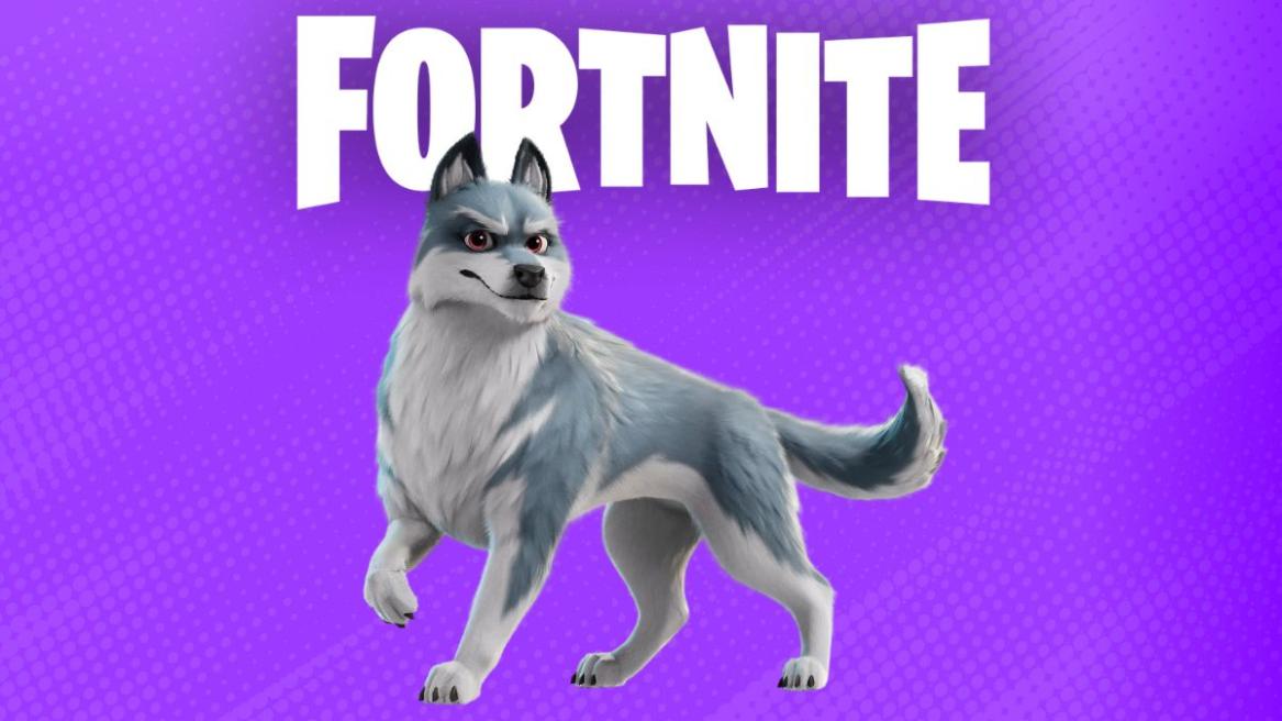 Fortnite Remus Sidekick