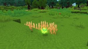 How to Get Essence of Life in Hytale