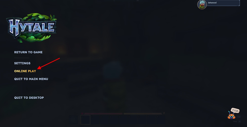 Hytale Online play option