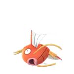 Magikarp 