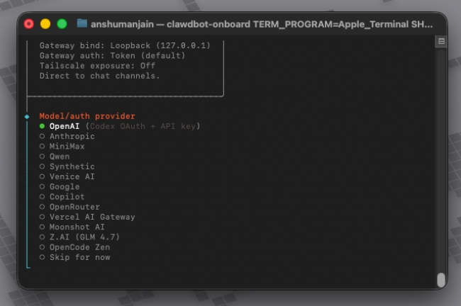 Select Auth LLM Provider for Clawdbot in Mac Mini Terminal