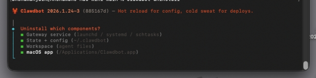 Uninstall Clawdbot and all its features