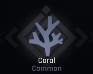 Coral Race