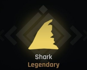 Shark Race