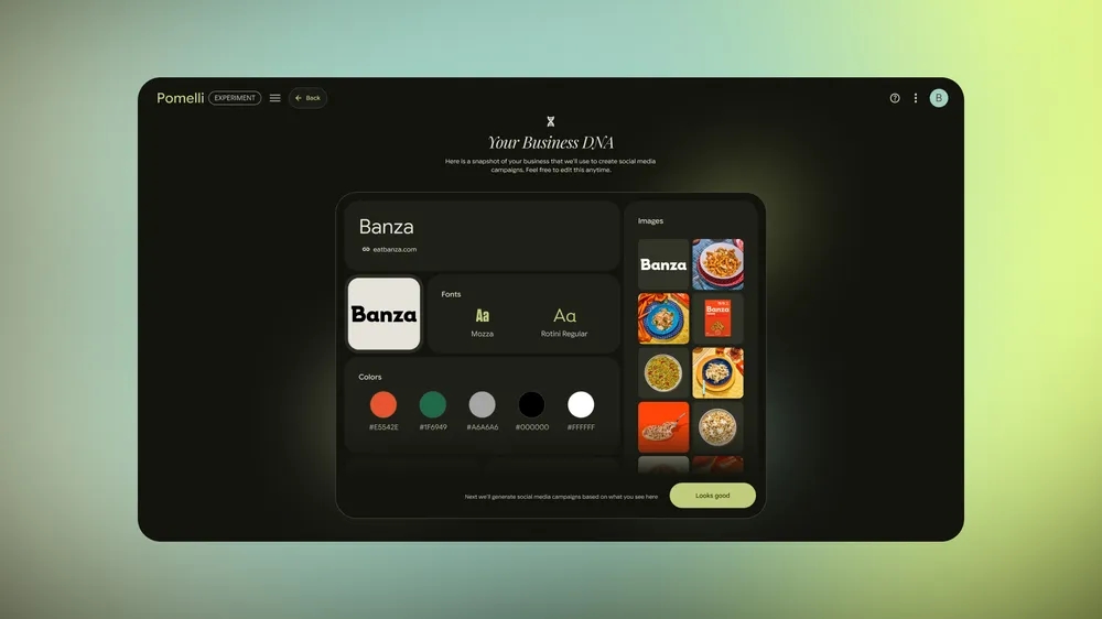 Google Pomelli Business DNA Page showcase