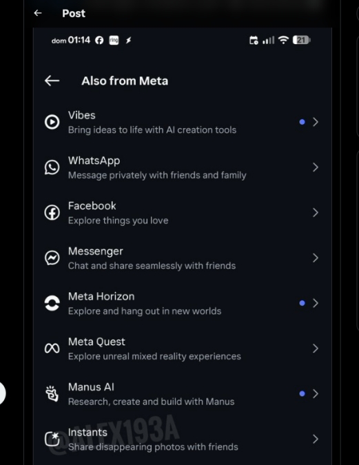 Instagram Page Showing Instants App Reference