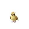 Pokemon GO Pidgey