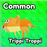 Trippi TRoppi