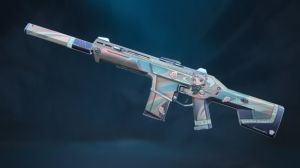 Valorant 9 Lives Collection