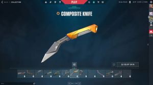 Valorant Composite Collection