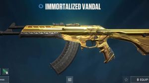 Valorant Immortalized Collection