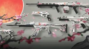 Valorant Sakura Collection